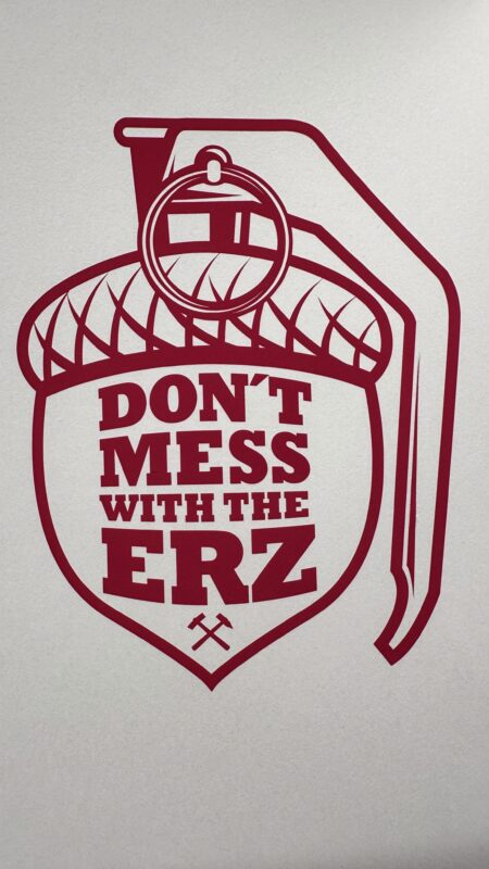 Dont Mess With The Erz Statement Sticker - pink